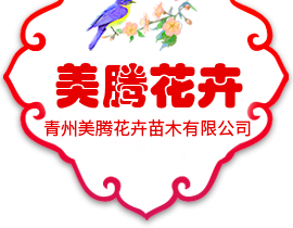 青州美騰花卉苗木有限公司